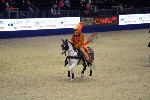 Quadrille - 00044